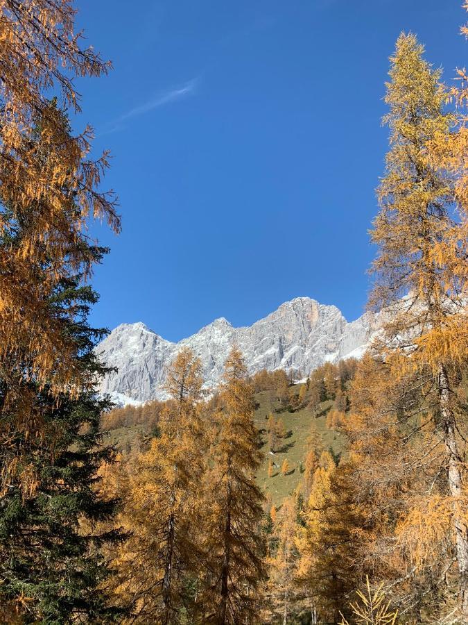 Hotel-Appartement Hochkönig Ramsau am Dachstein Exteriör bild